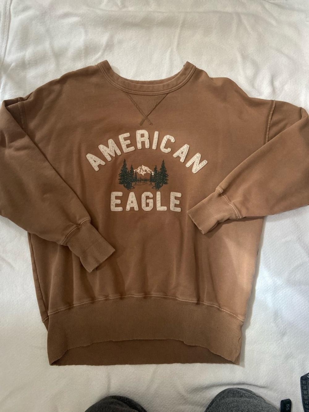 American Eagle Outfitters Brown Crewneck with Mountain Graphic
